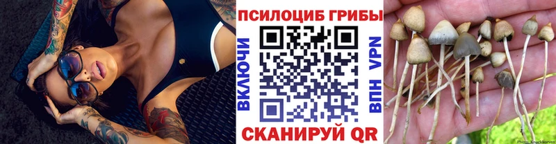 Псилоцибиновые грибы GOLDEN TEACHER цены Юхнов